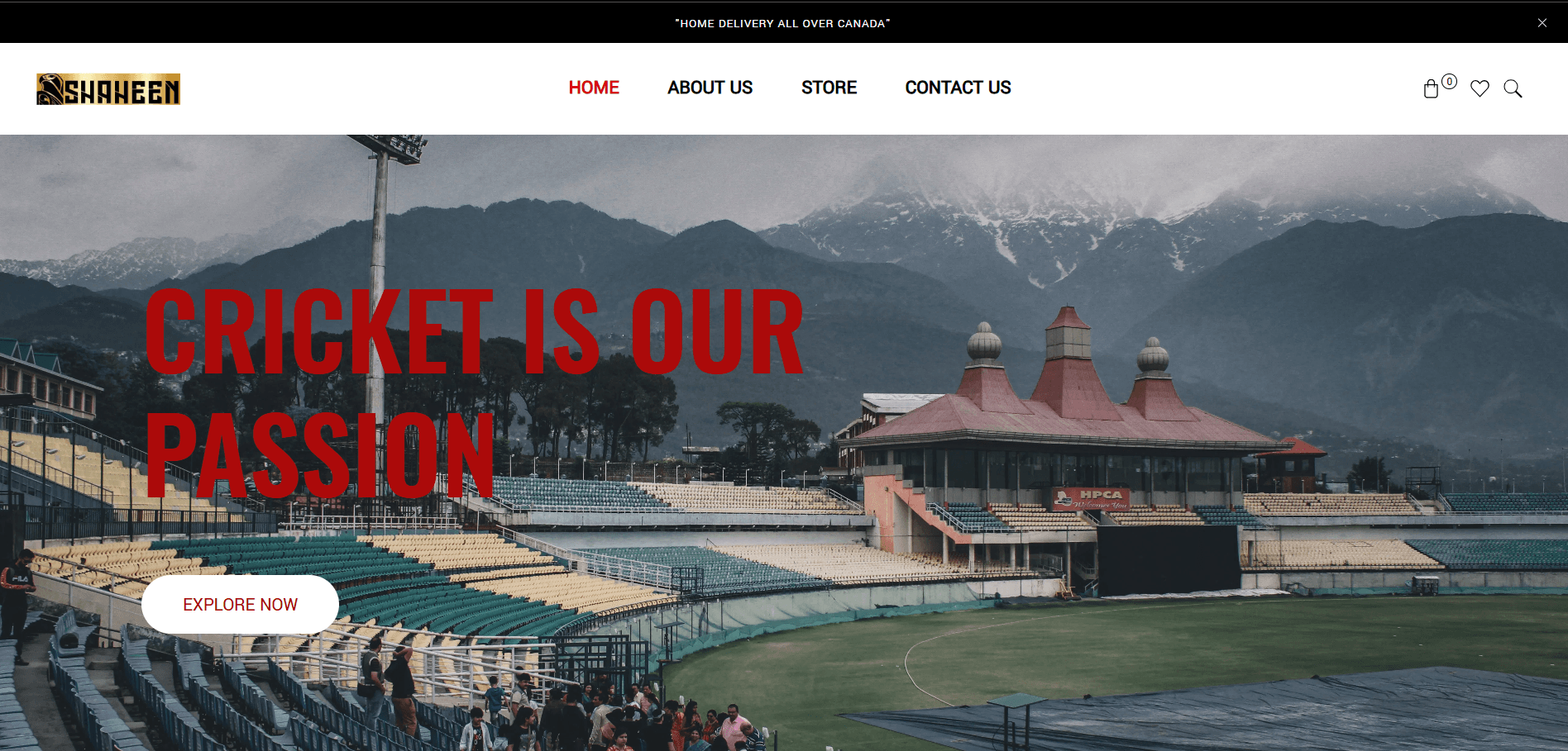 Shaheen Sports live website homepage